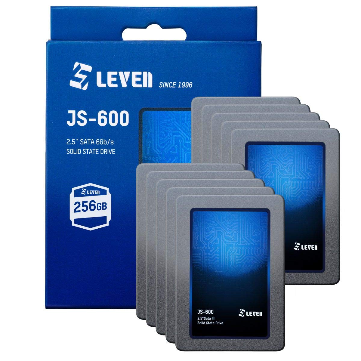 LEVEN JSN600 NAS 2.5インチ SATA SSD 1TB ホームNASデバイス