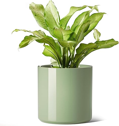 Miniatura 7 de LE TAUCI Maceta de cerámica de 12 pulgadas, esmalte reactivo verde verano, ideal para plantas de interior, con orificio de drenaje y tapón extraíble