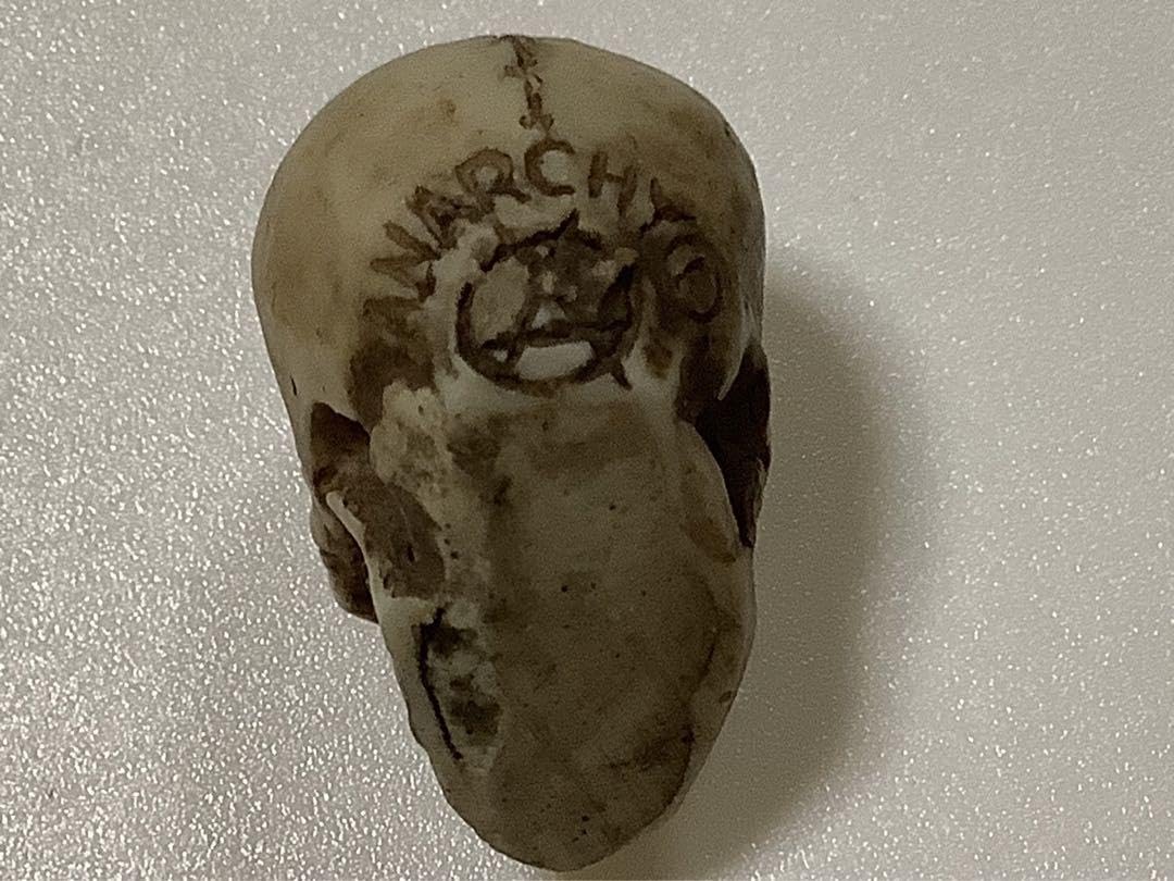 Amazon.co.jp: ANARCHY 骸骨立体ガイコツ スカル 3 Dヘッド