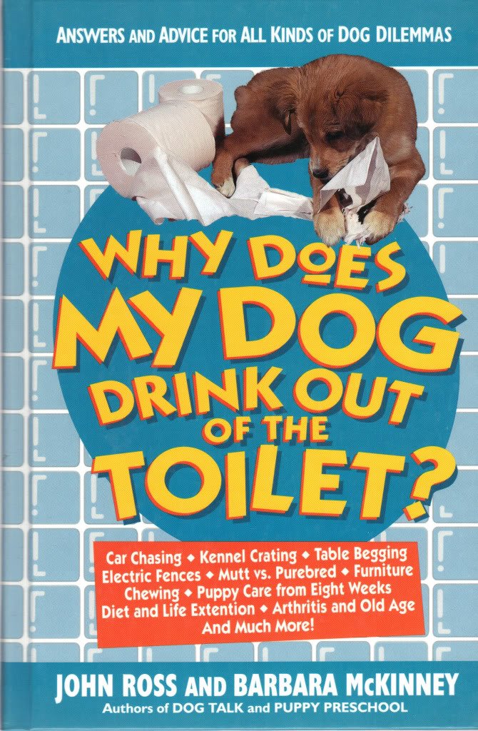 Why Does My Dog Drink Out of the Toilet Answers and Advice for All