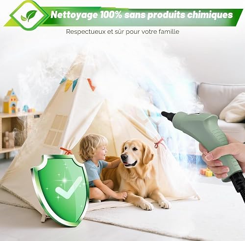 Nettoyer à Vapeur, Nettoyeur Vapeur Professionnel avec 11 Accessoires, 2500W Réservoir d'eau de Grande Capacité, Nettoyage Vapeur avec 6 modes réglables pour le Nettoyage, Canapés, Carrelage, Voitures - 6