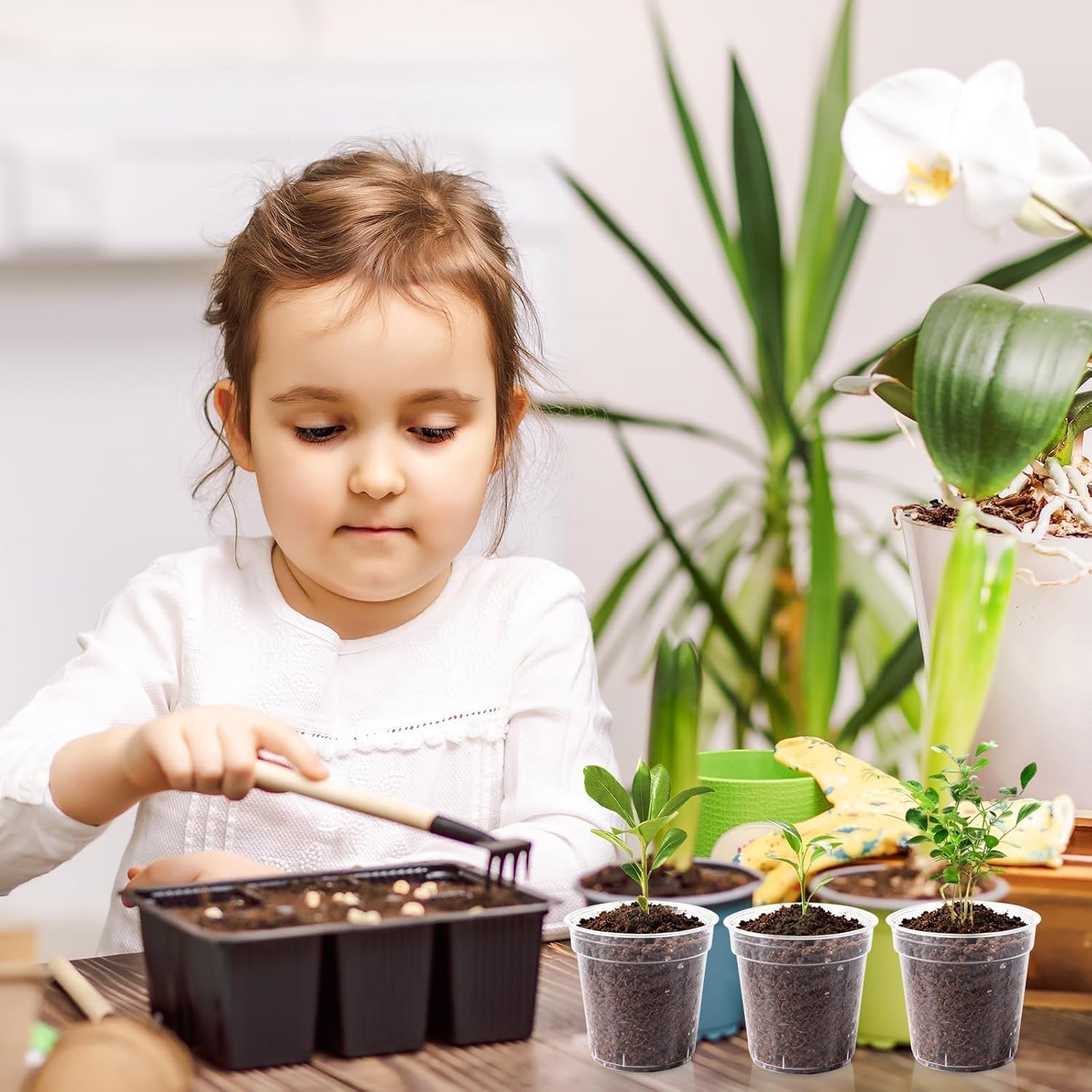 240 Pcs Clear Mini Nursery Pots for Plants, 2 Inch Plastic Seedling Clear Plant Pots with Drainage Holes, Seed Starting Trays for Various Seeds Indoor & Outdoor Flower Planters