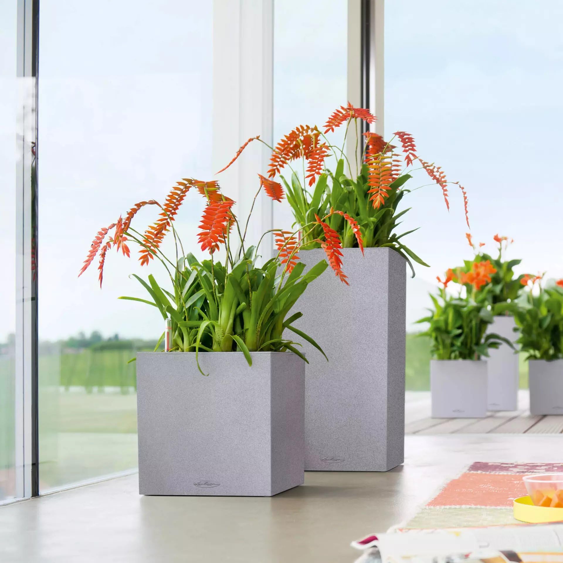 LECHUZA CUBE Color Triple (ex BALCONISSIMA) marrone sabbia 13686