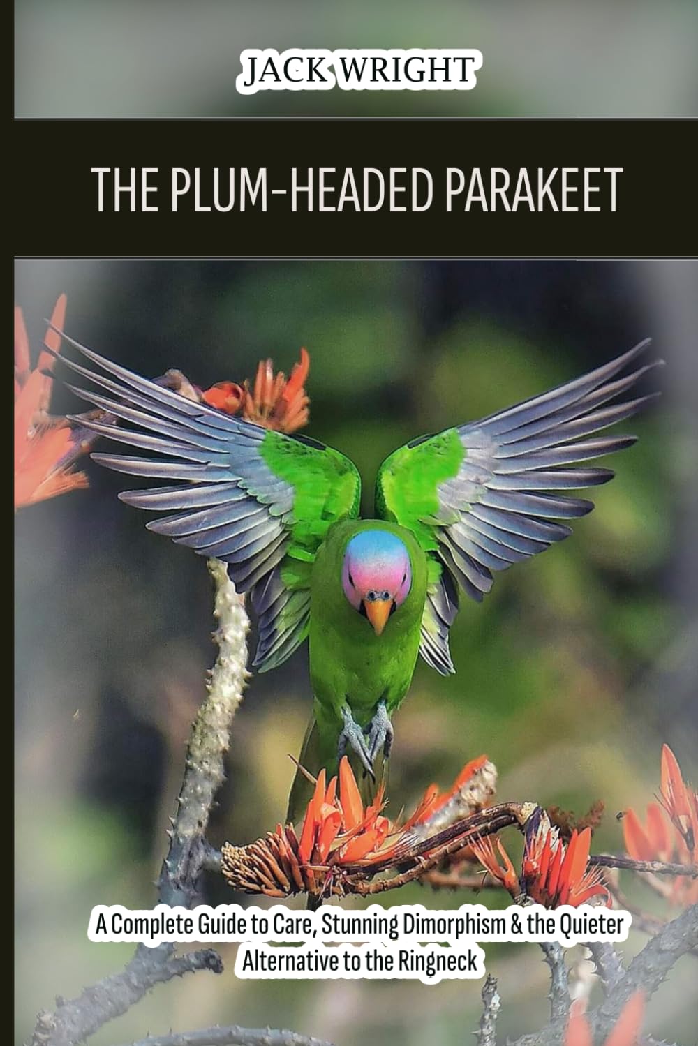 The Plum-Headed Parakeet: A Complete Guide to Care, Stunning Dimorphism & the Quieter Alternative to the Ringneck