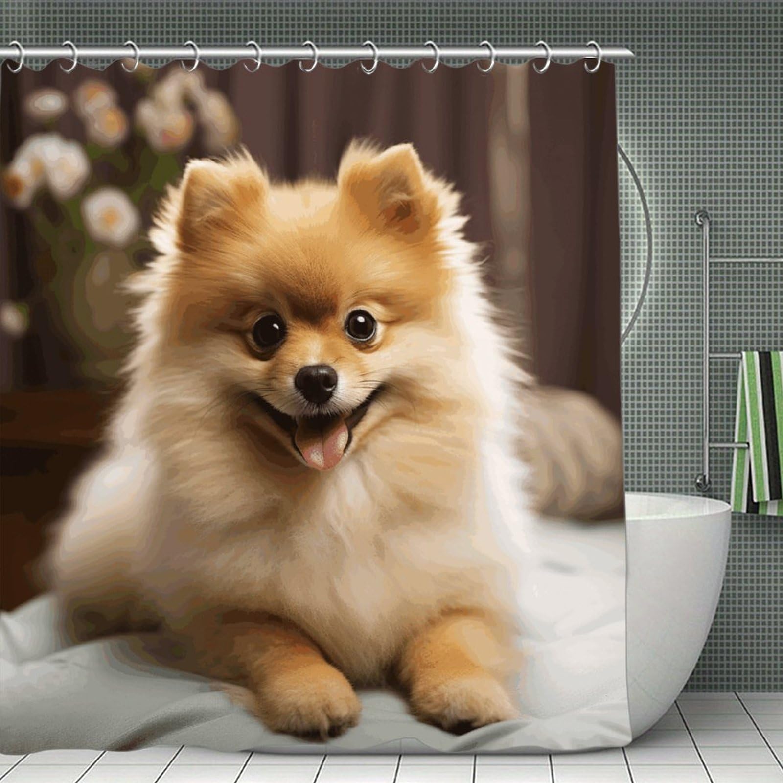 FekiLoot Cute Pomeranian Dog Shower Curtain with Hooks Modern Farmhouse Bathroom Curtain Waterproof Cloth Bath Curtains Cute Washable Blackout Privacy Curtains for Bathroom Bathtub 70.8"x70.8"