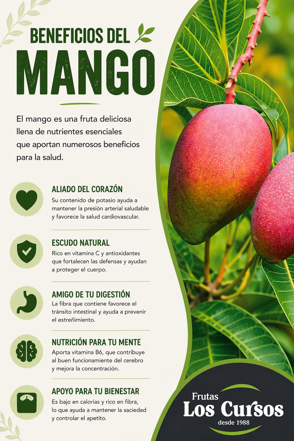 Mango fruta Pack 2kg - Mangos origen España - Compra mangos de la costa tropical de Granada. Mango nacional