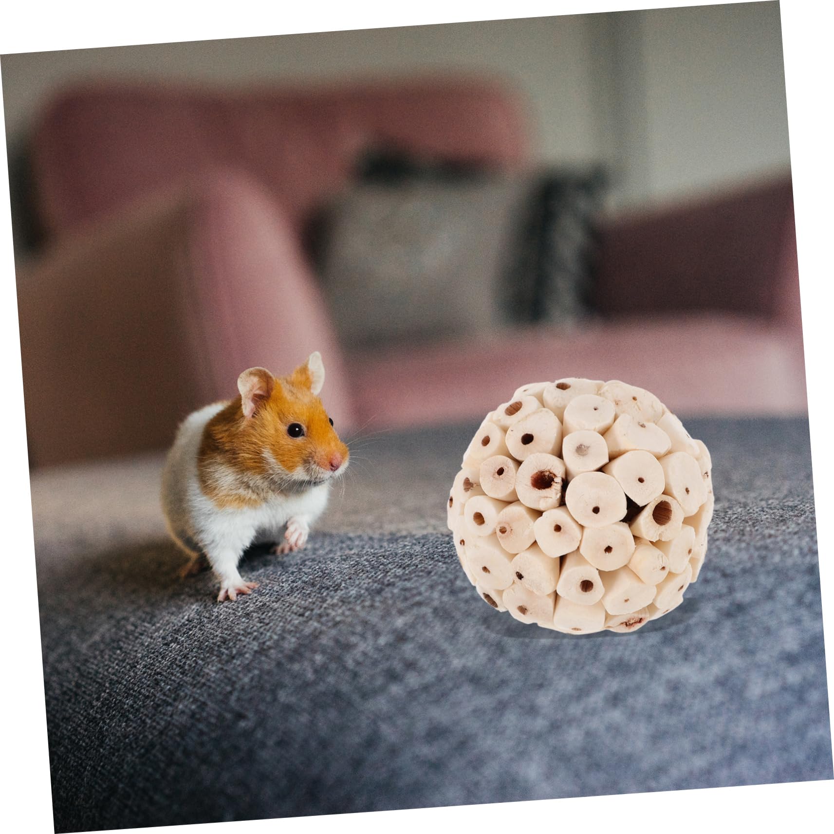 VANZACK 30pièces Jouet à Mâcher pour Oiseaux Et Petits Animaux Balles Écologiques pour Perroquets Chinchillas Et Cobayes