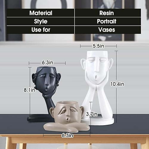 Miniatura 2 de Notakia Macetas para suculentas, cabeza blanca, busto, escultura, jarrón, estatua de resina para interiores y exteriores, decoración del hogar,