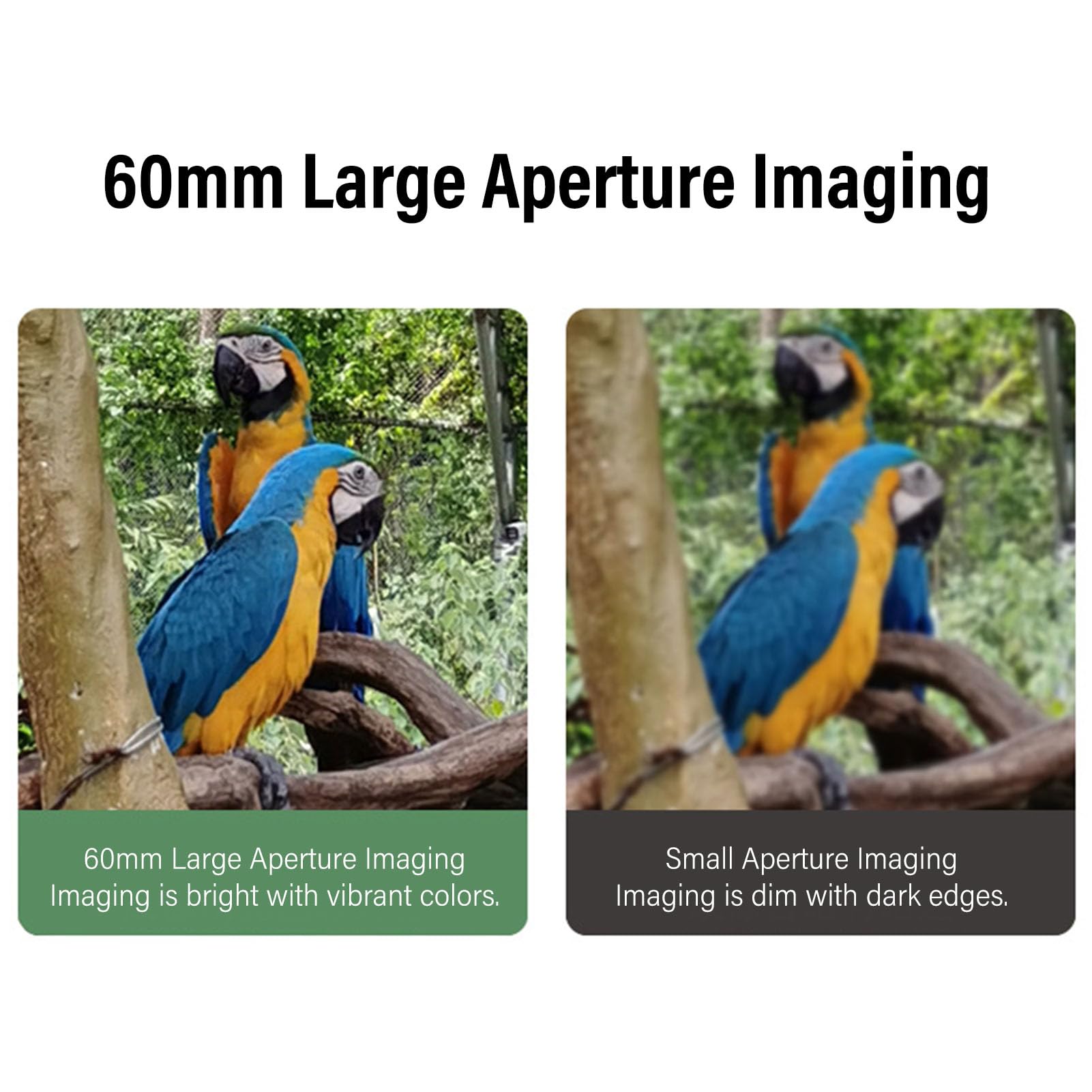 Elprico 15–45 x 60 mm Abgewinkeltes Spektiv HD wasserdicht mit Stativ und Telefonadapter für Vogelbeobachtung Zielschießen