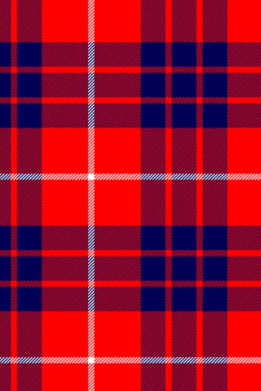 Clan Hamilton Tartan Journal/Notebook