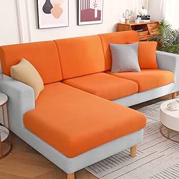 71JFbIGqTBL._AC_UF350,