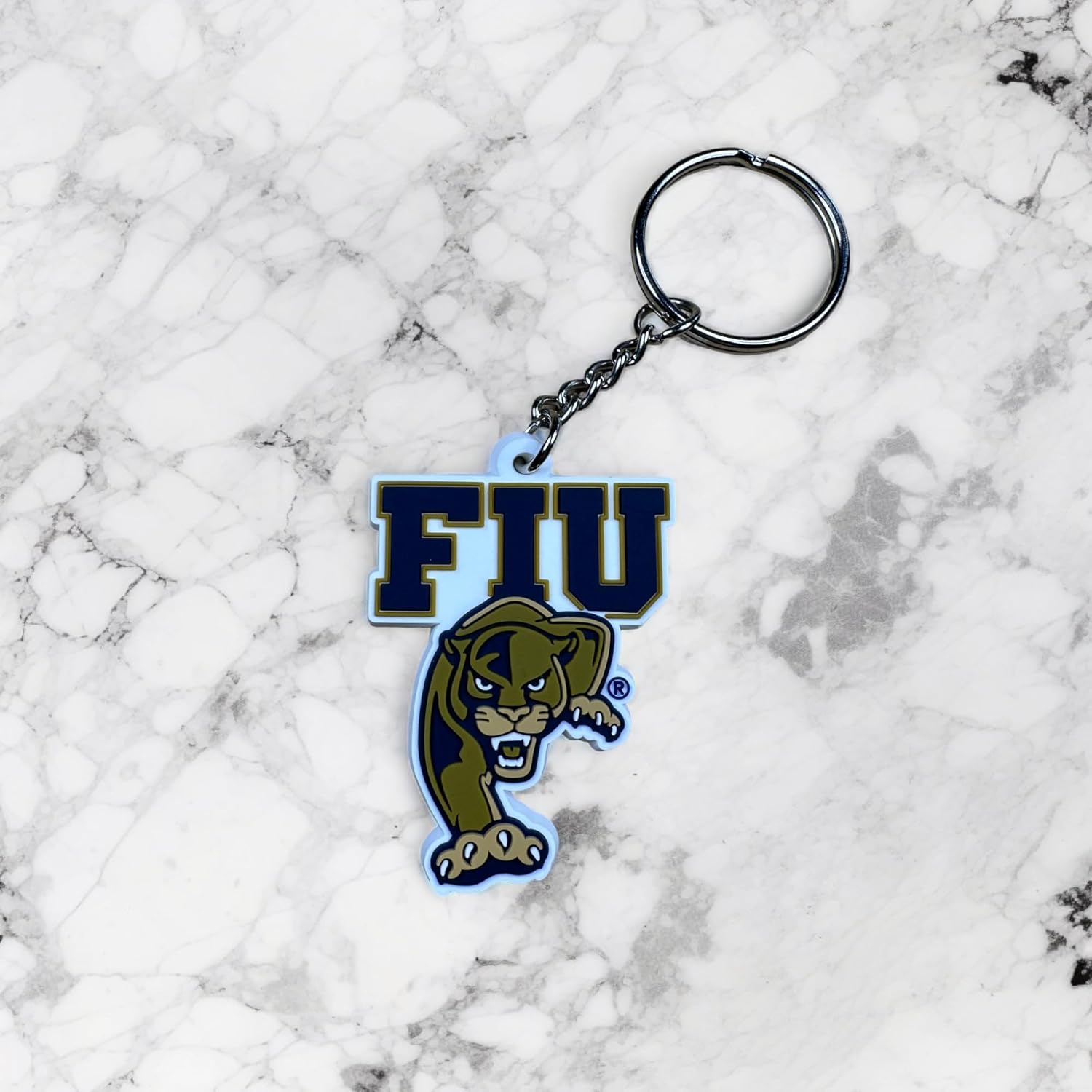 Desert Cactus Florida International University PVC Keychain FIU Panthers Bag Tag, Backpack, Car, Gift, Souvenir, Key Ring (PVC A)