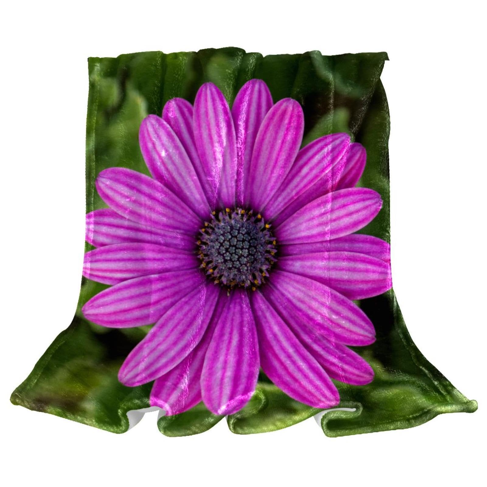 Couverture polaire fleur pourpre pour vos moments de détente cocooning sur le canapé