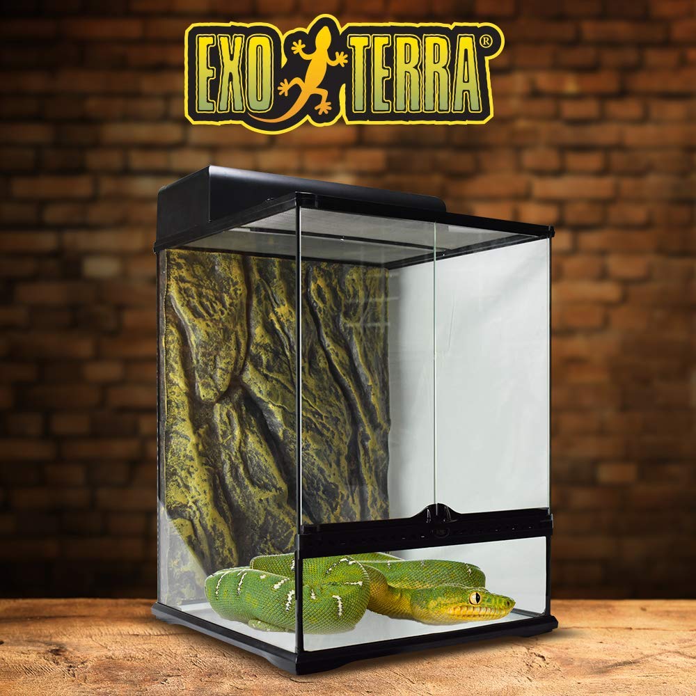 Terrariums & Accessories Exo Terra PT2662 Rainforest Habitat Kit M
