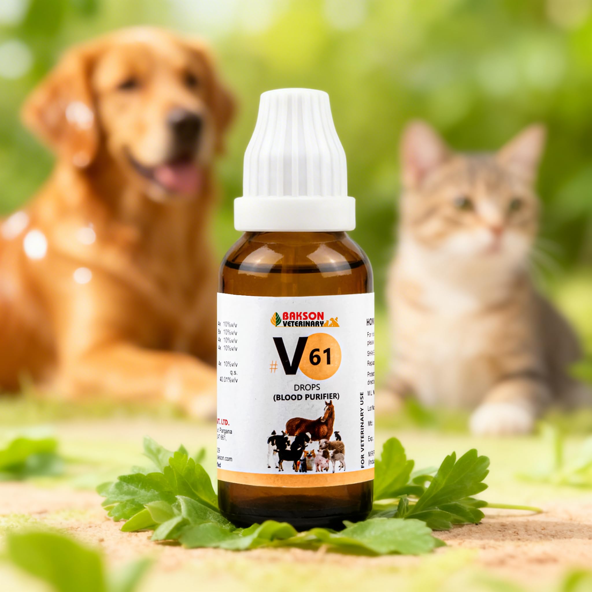 Bakson Veterinary | V61 Blood Purifier Drops | 30 ML-image-21