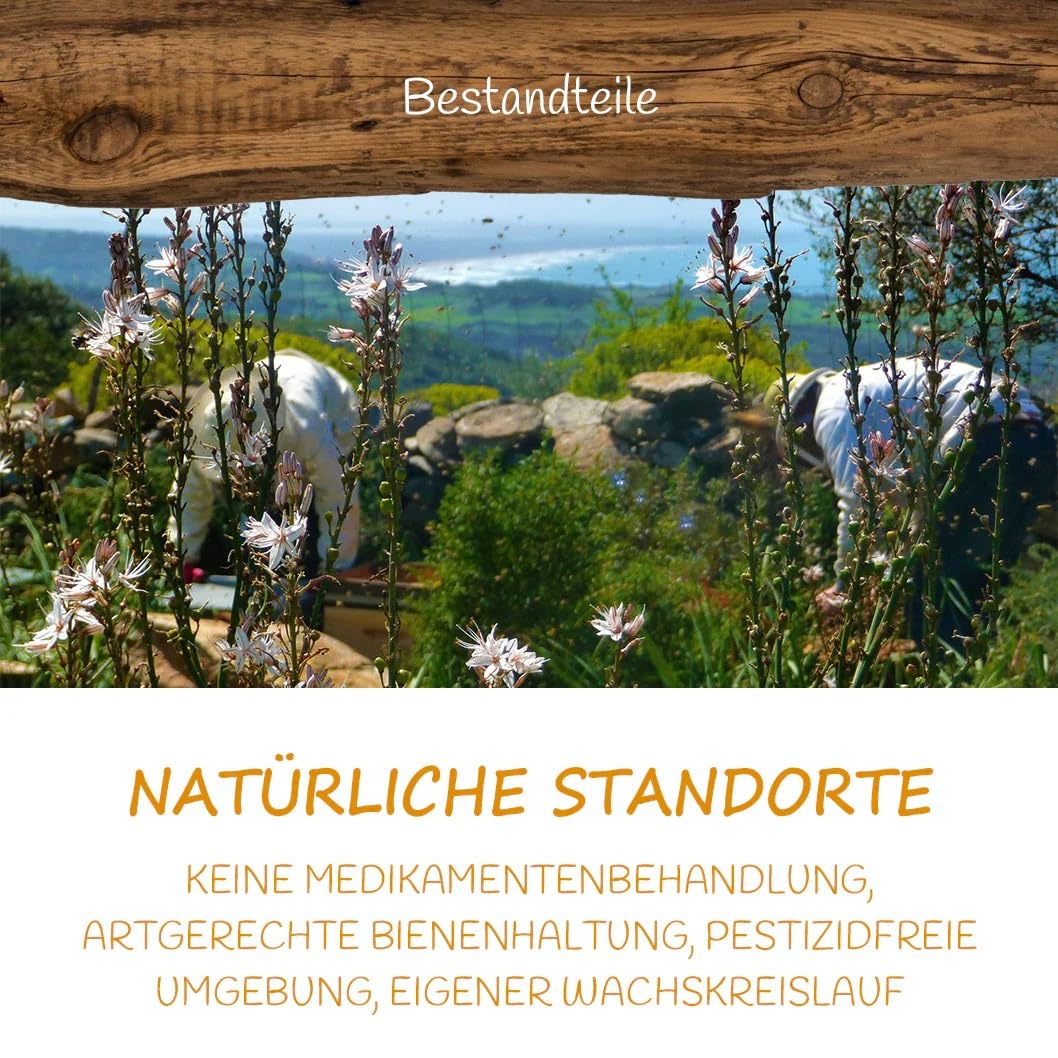Allgäuer Wanderimkerei Gelee Royal 25g I traditionelle Herstellung I fein-aromatisch I naturbelassen & hochwertig I bienenprodukt
