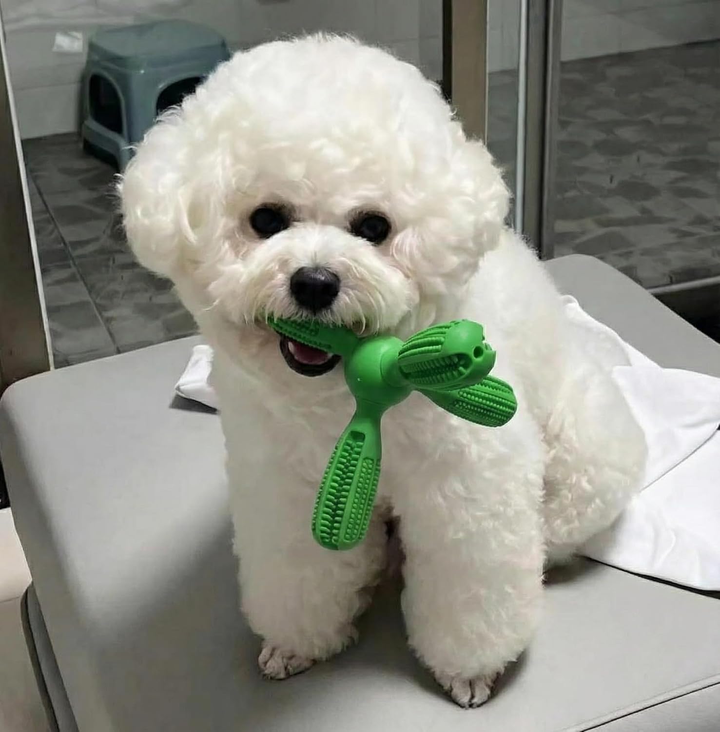 Dog Teeth Brushing Dog Toys Chewing Training to Relieve Anxiety image 2