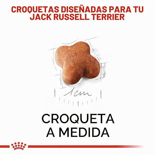 Foto 4 de 8 de Royal Canin Jack Russell Terrier Puppy