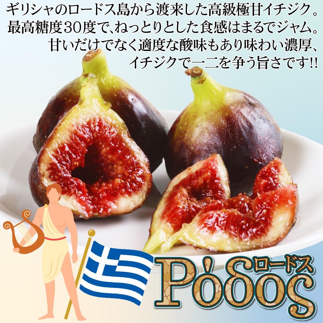 Amazon.co.jp: 果樹苗 イチジク ロードス 1株 / 国華園 25年春商品