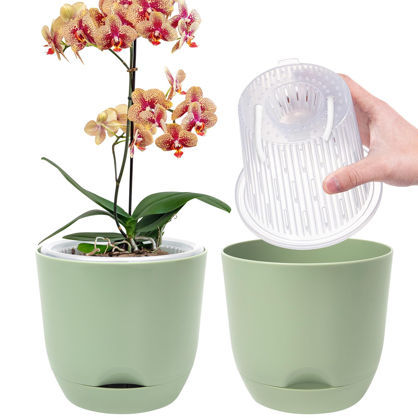 QCQHDU 2er-Set Orchideentopf Groß