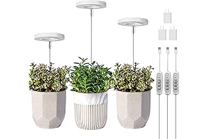 LORDEM Grow Light: The Ultimate Light Solution for Indoor Plant Health