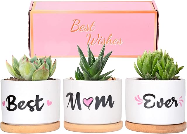Cymax Gifts for Mum,Mum Birthday Gifts for Daughter and Son,Unique Best Mom Ever Succulent Pots with Gift Box,Mom Presents for Christmas Birthday Thanksgiving Mother Day Valentines Day