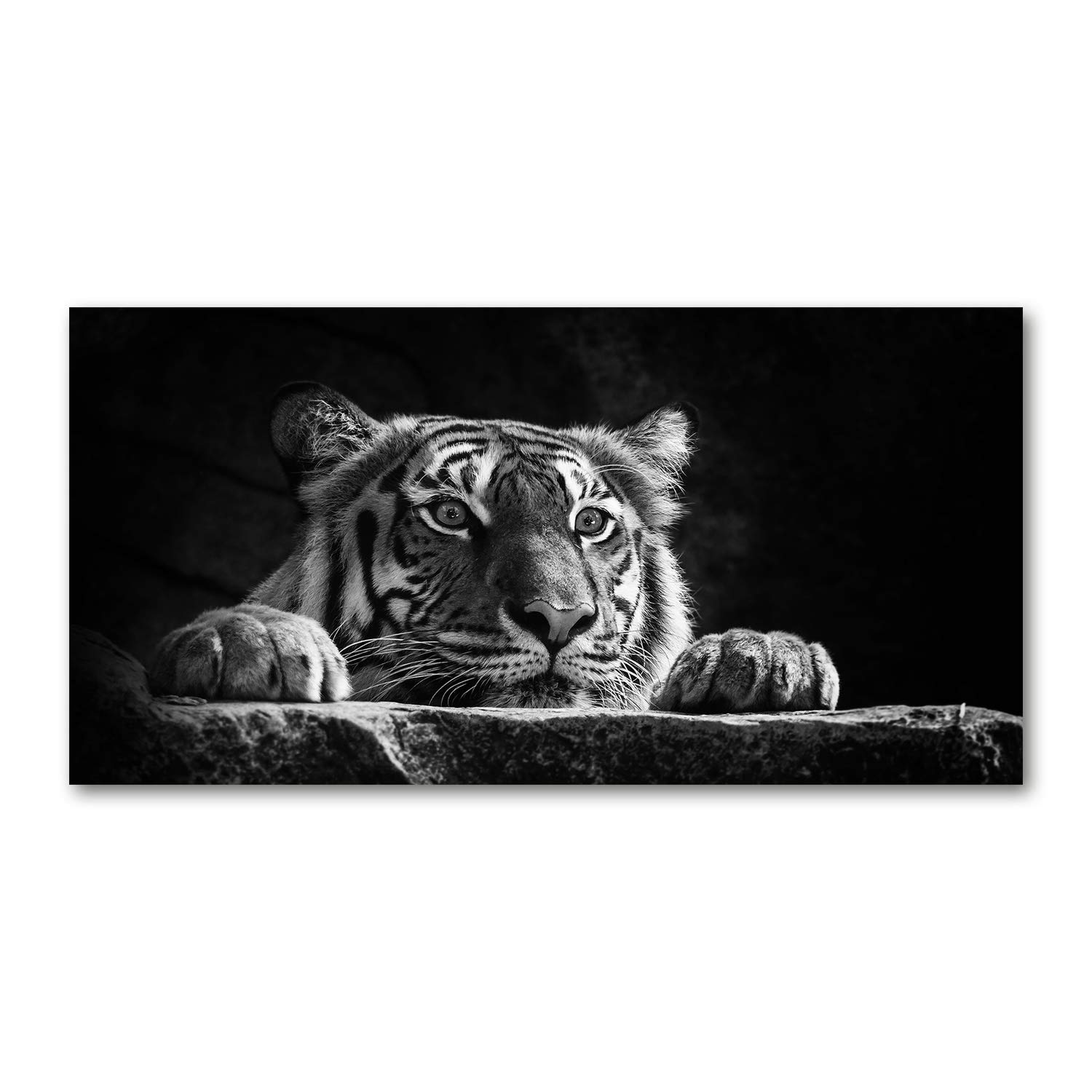 Tulup Black & White Glass Picture Wall Art - 100X50cm - Tempered Glass Decoration - Print For Living Room Bedroom - Toughened Glass Image - Glass Picture Wall Art - Tiger