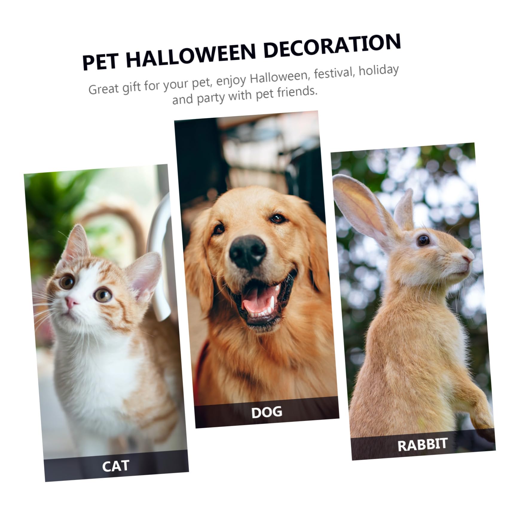 BESPORTBLE 2pezzi Cloak Per Animali Domestici Stile Halloween Costume Nero Per Cani e Gatti Accessorio Creativo Per Feste e Cosplay Design Unico e Confortevole