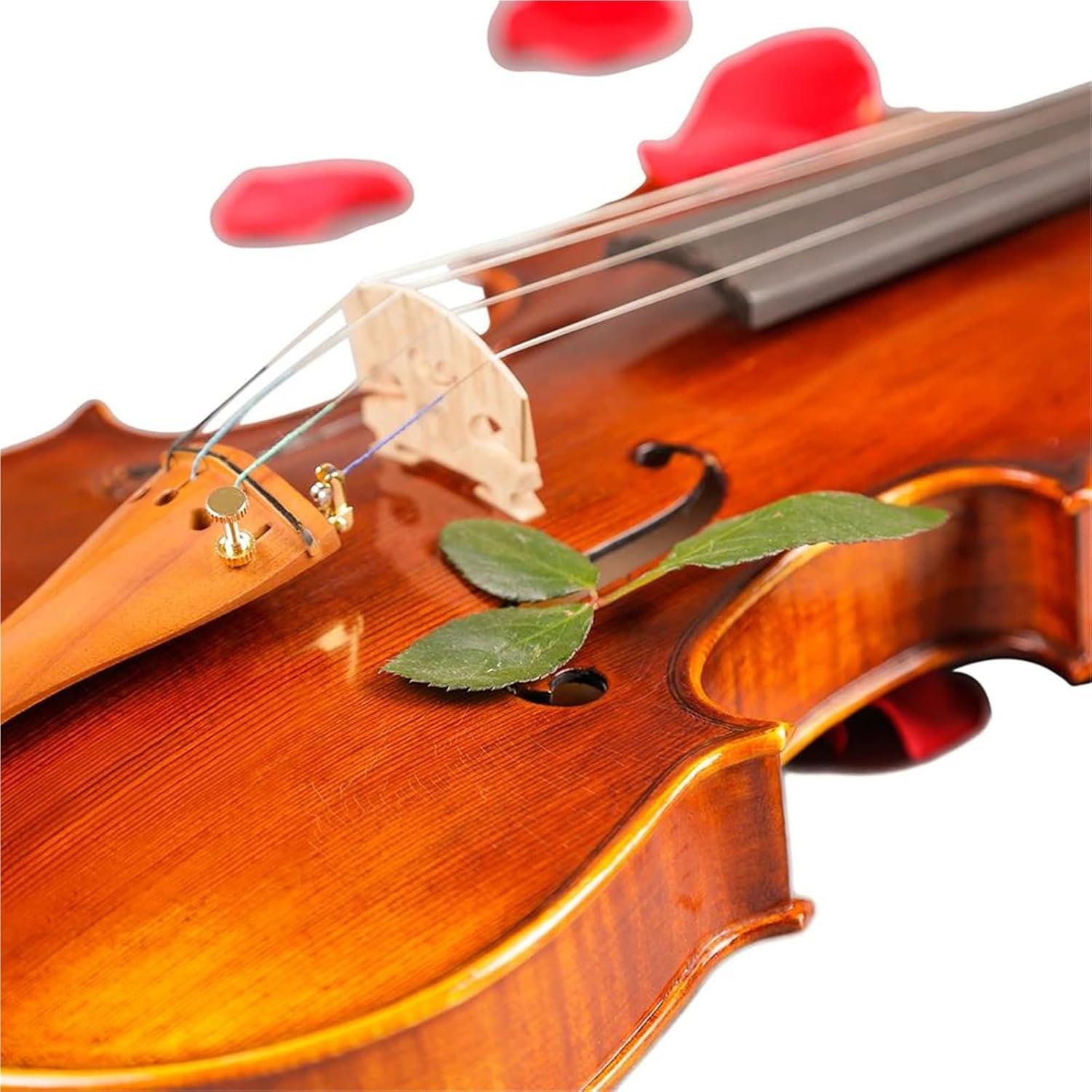 プロ仕様のバイオリン楽器 プロ仕様のメープル材ハンドクラフトバイオリン ケース 弓付き 初心者練習用(4/4)