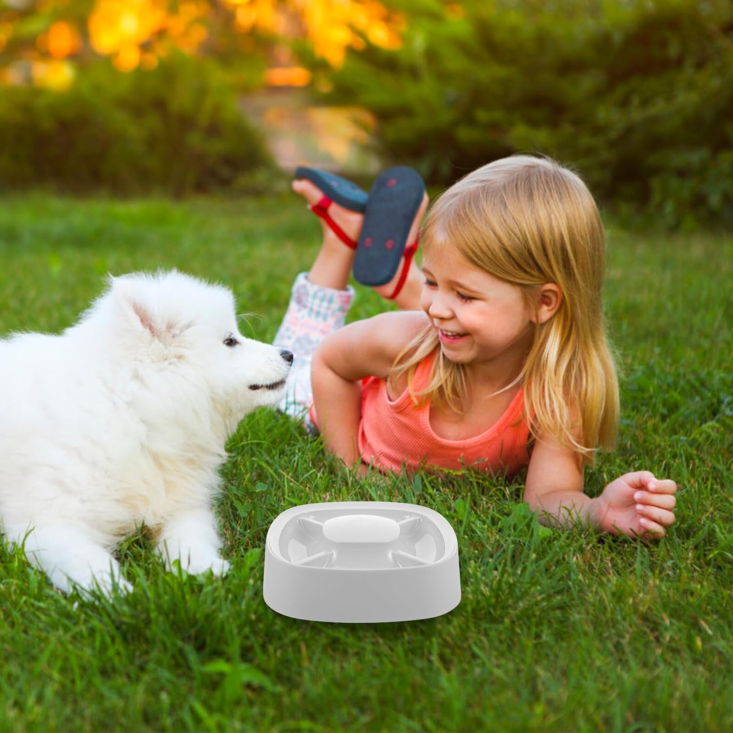 Ciieeo Divided Slow Feeder Pet Food Bowl Plastic Dog and Cat Feeding Station Gray Multi-Compartment Slow Eating Bowl for Puppies and Small Cats