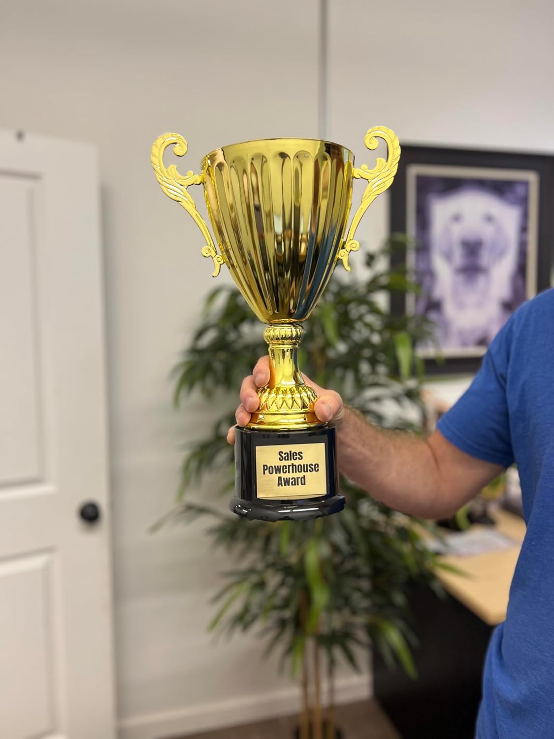 Gold or Silver Real Metal Cup Trophy - Trophy Award, Engraved Corporate Trophy Cup Award (8.75", 9.75", 12", 13.25" or 14.5" Tall) - Free Engraved Plate Included