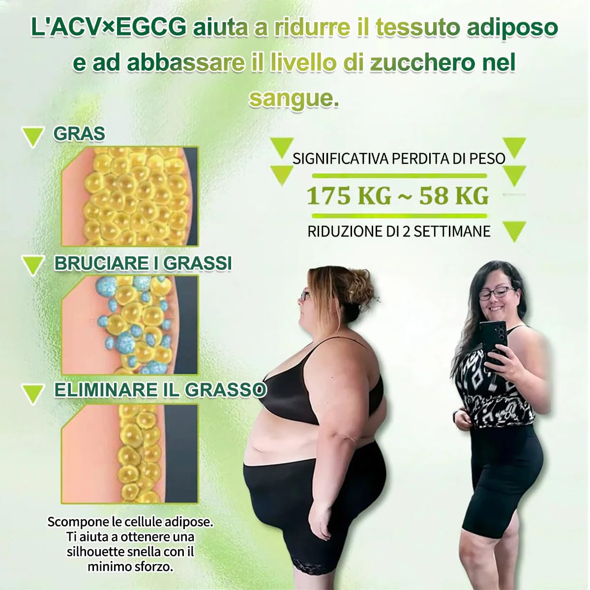 Purelora ACV x EGCG Patch Avanzato Nano Microneedle 10-in-1, Naturali Cerotti Dimagranti Efficaci, Purelora Moringa Cerotti, per Addome, Braccia e Gambe (2 Scatole)