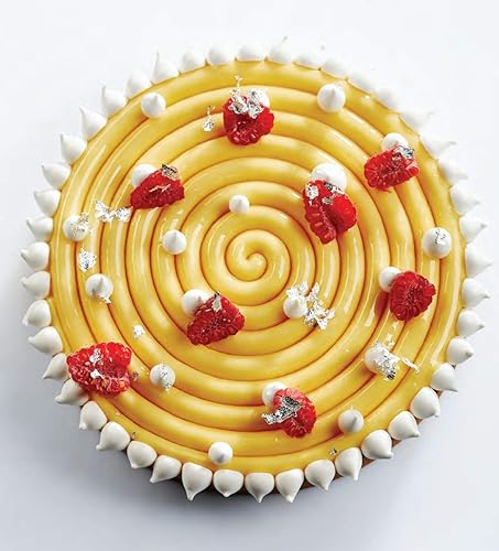 Miniatura 2 de Pavoni Molde de silicona para hornear "Top Ipnosi", cada cavidad mide 2.36 pulgadas de diámetro x 0.39 pulgadas de alto, 6 cavidades