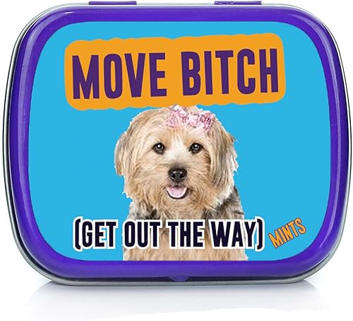 Move Bitch Get Out The Way Mints - Divertida mordaza para perros para amigos, rellenos de calcetines para adultos, caramelos, mentas, Badass Weird