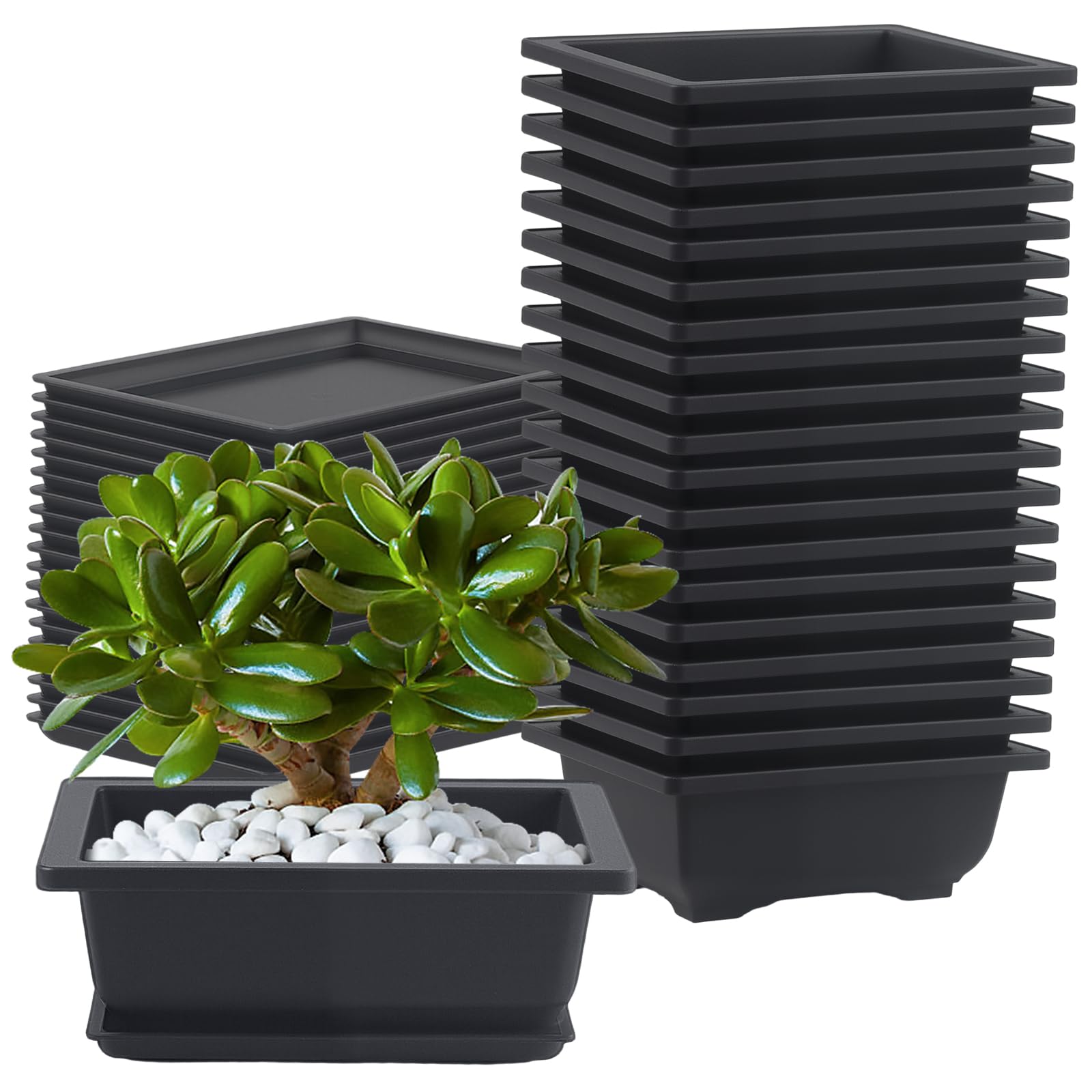 Pots à bonsaï rectangulaires marron légers et incassables avec plateaux de drainage