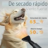 Ver la foto 2