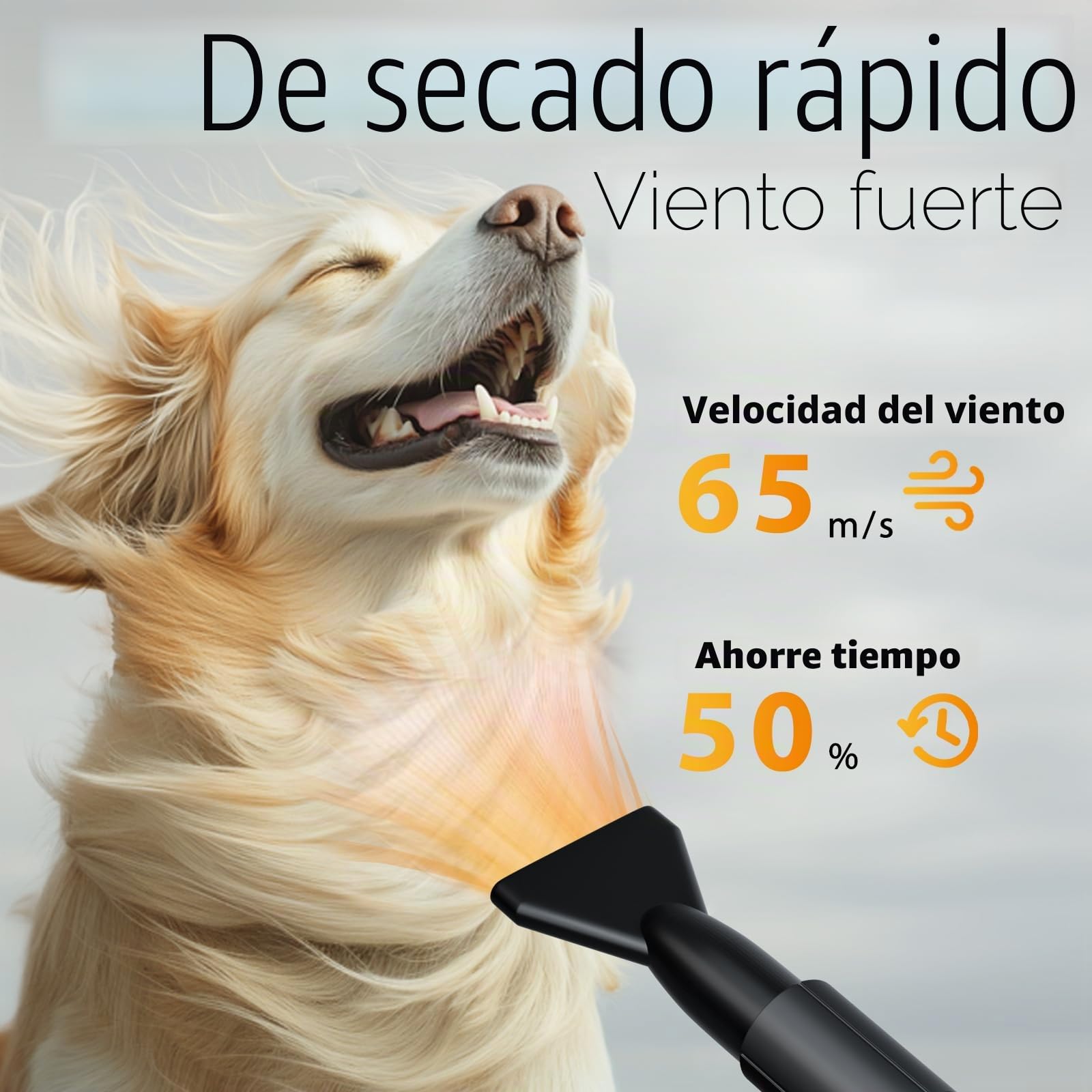 Secador de Pelo de Perro Blaster 3000 W, Secador de Pelo para Mascotas, Calentador de Temperatura de bajo Ruido con 4 boquillas Diferentes,Negro Profundo