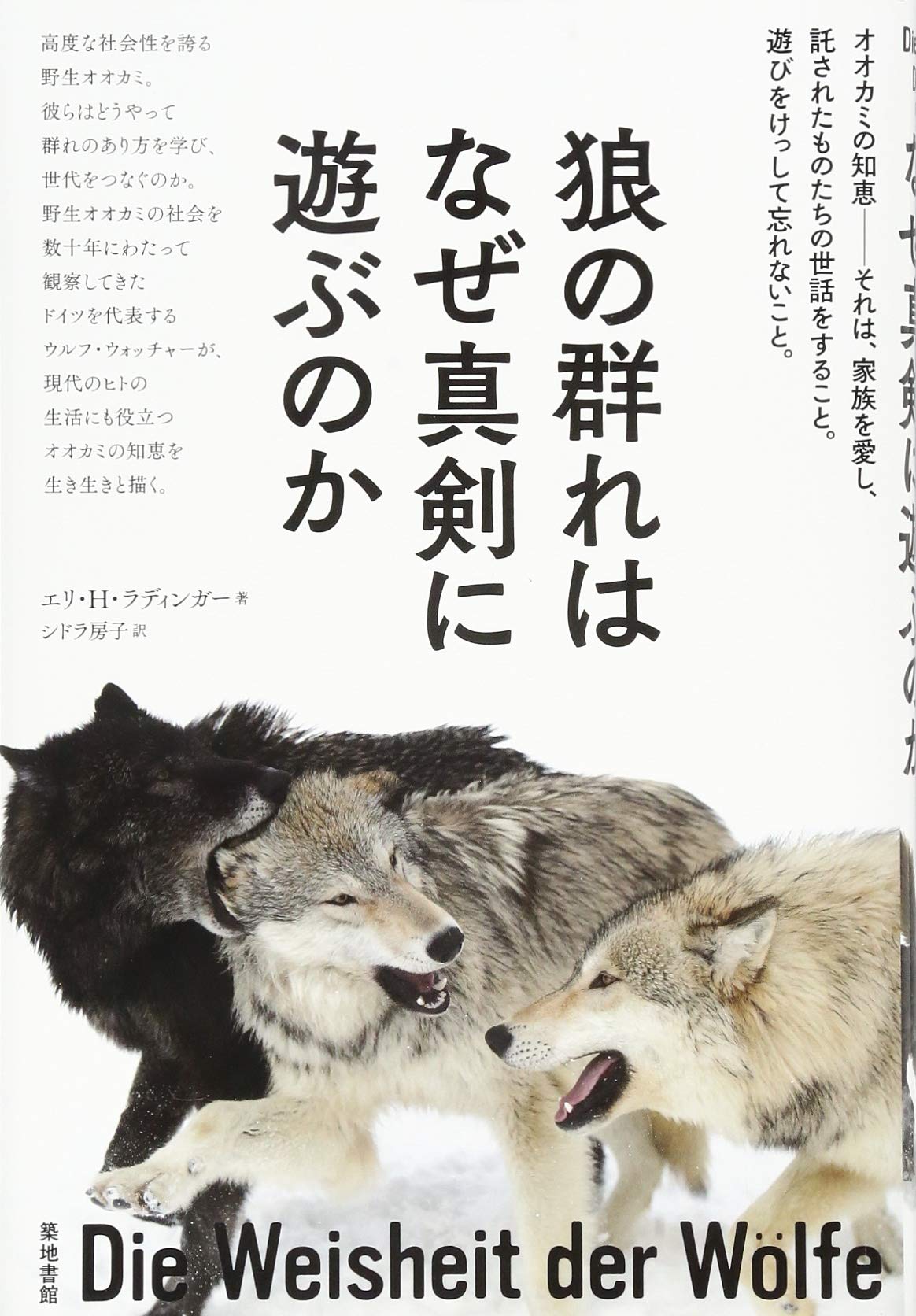 狼の群れはなぜ真剣に遊ぶのか | エリ・H・ラディンガー, シドラ