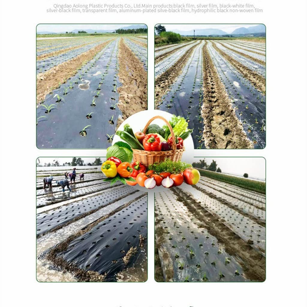 Perforowana folia mulczowa do ogrodu i szklarni, konstrukcja z 5 otworami, 95 cm x 10 m do termicznej kontroli chwastów, trwała osłona krajobrazu
