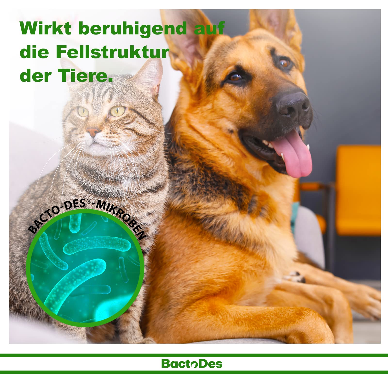 BactoDes Ready Fellpflegespray 6 x 200ml I 3in1 Pflege für Hunde & Katzen mit Mikroorganismen I Glänzendes Fell, gesunde Haut & natürliche Geruchsneutralisierung I Ideal bei empfindlicher Haut