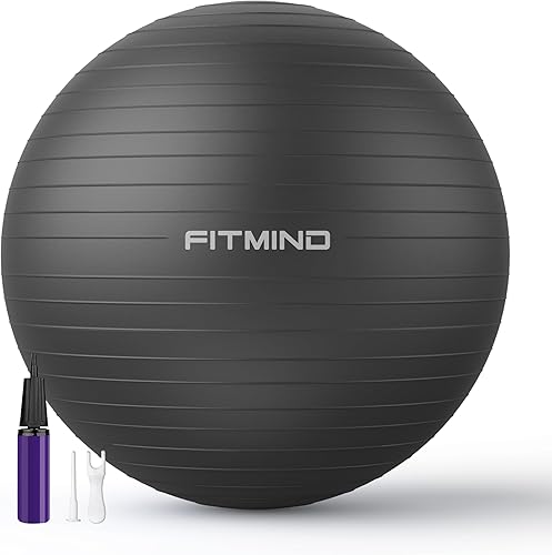 FITMIND_ Extra Thick Exercise Ball Yoga Ball 22in26in30in for Workout Pregnancy Stability,Anti-Burst and Slip Resistant Swiss Ball with Pump for