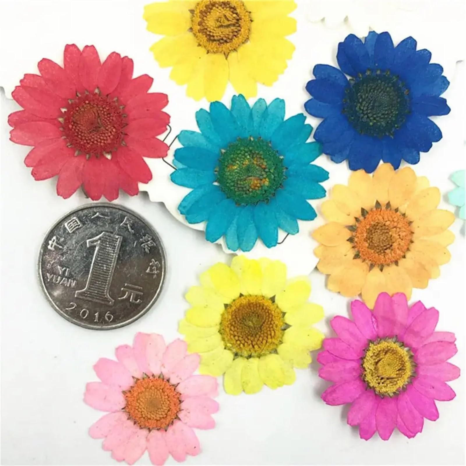Fiori secchi pressati, Fiori pressati secchi resina epossidica fai da te 36 pezzi fiori naturali pressati secchi decorazione del telefono artigianale for unghie petali secchi naturali(Yellow)