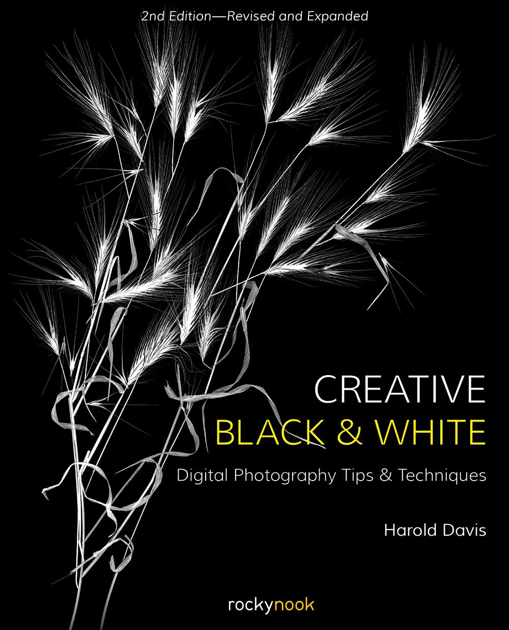 Creative Black and White Digital Photography Tips and Techniques