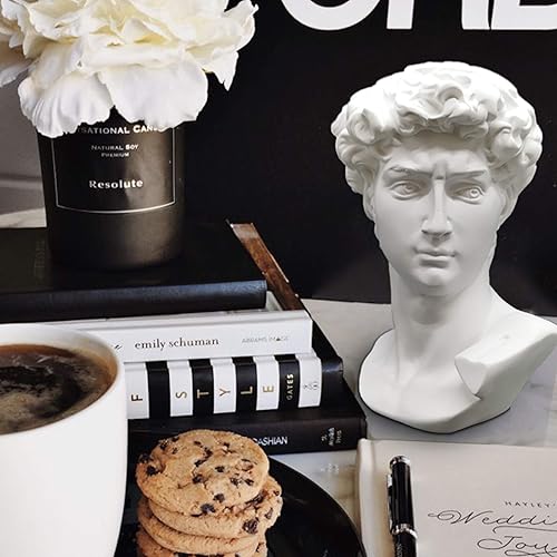 Miniatura 2 de Estatua griega de David - Busto de cabeza para mitología y decoración romana del hogar