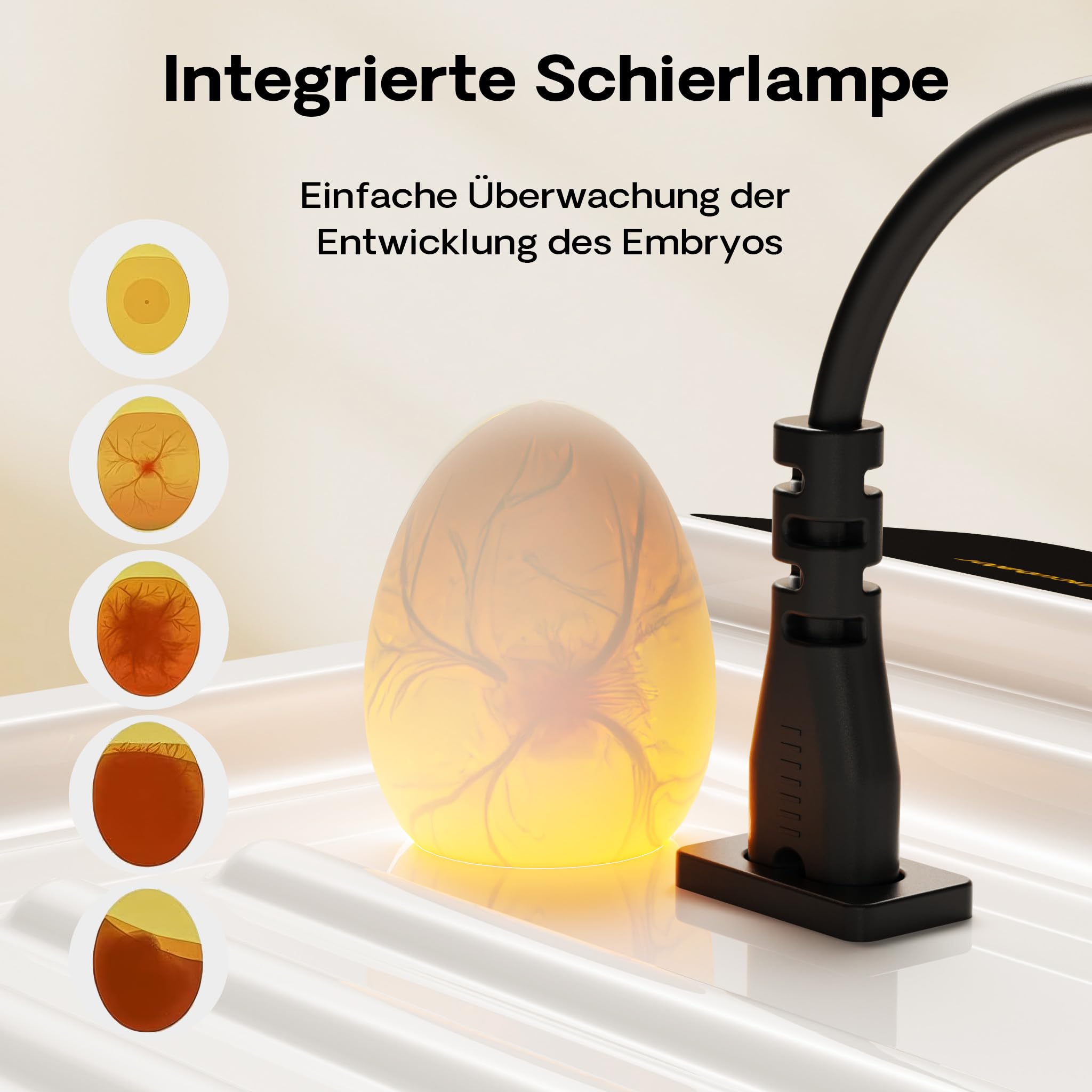 Wiltec Incubadora automática para 36 huevos 45 W con giro automático, control de temperatura y humedad, lámpara ovoscopio y conexión a energía de emergencia, ideal para gallinas, patos y codornices