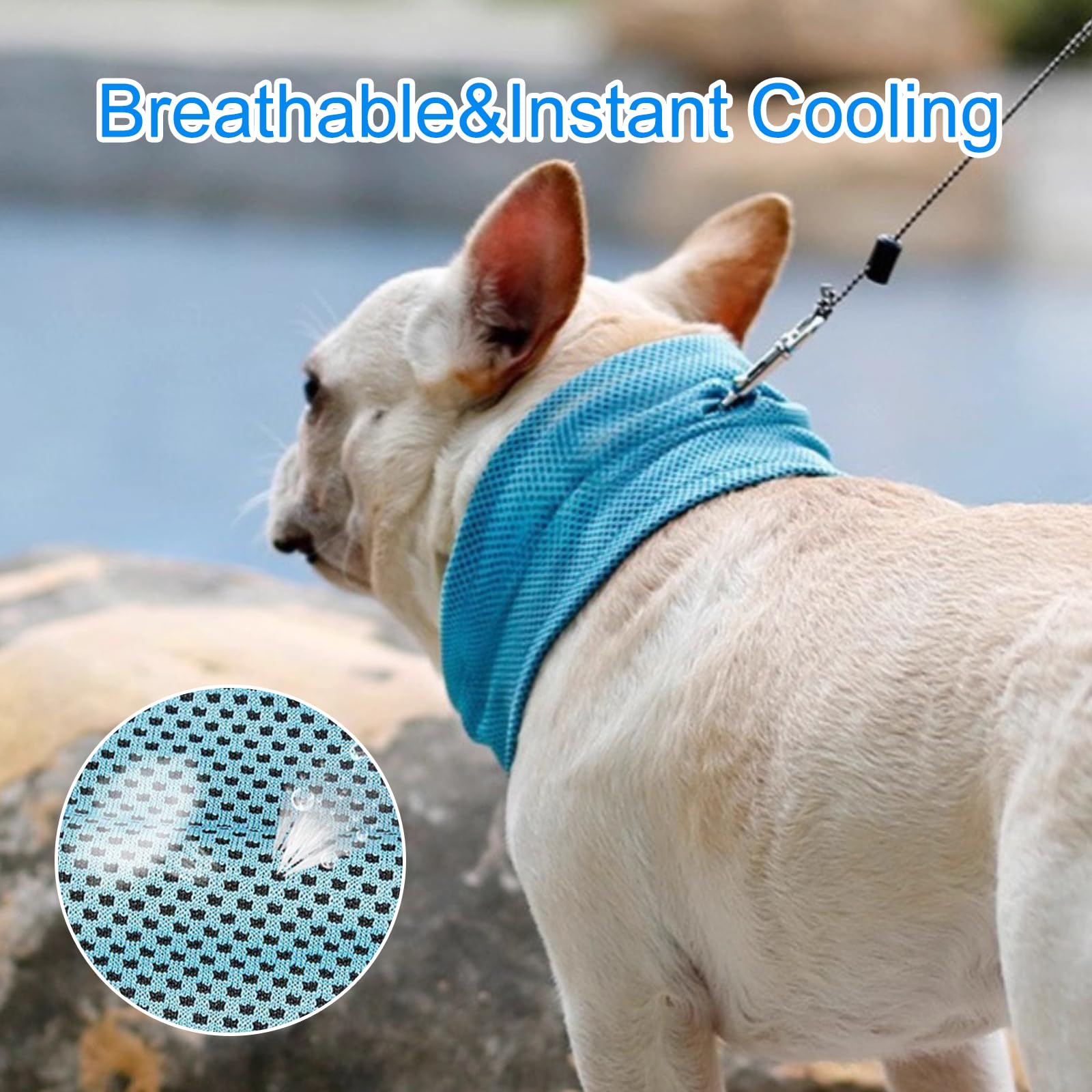 Collare refrigerante per cani traspirante bandana rinfrescante sciarpa estiva blu