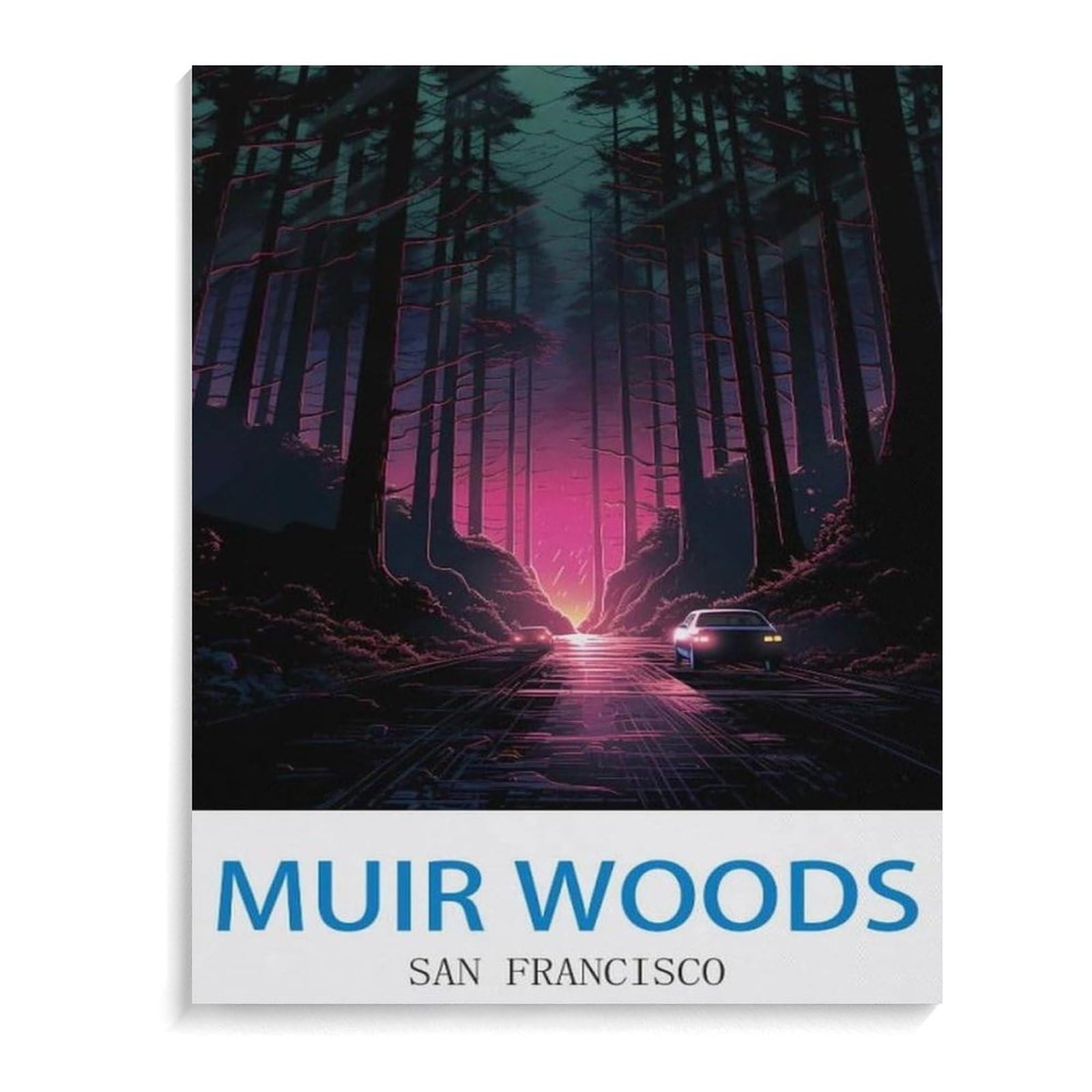 BEAYODKP Paint by Numbers，Muir Woods San Francisco Vintage Travel Poster，Exquisite Oil Painting by Numbers Kits for Beginners(40x50cm-L21