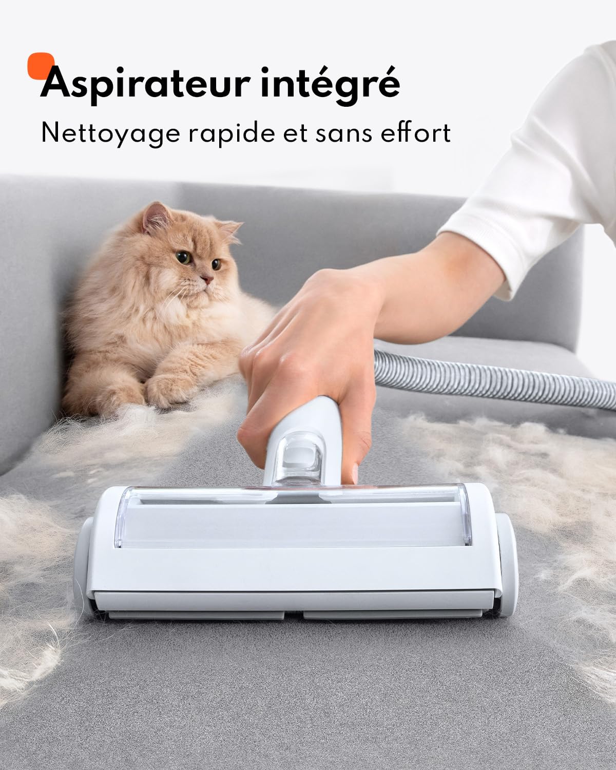 Homerunpet Aspirateur Poil de Chien, Ultrasilencieux & Super Aspirant Kit de Toilettage pour Animaux de Compagnie, Professionnel Tondeuse Chien Chat avec 6 Outils de Toilettage, 1,85L