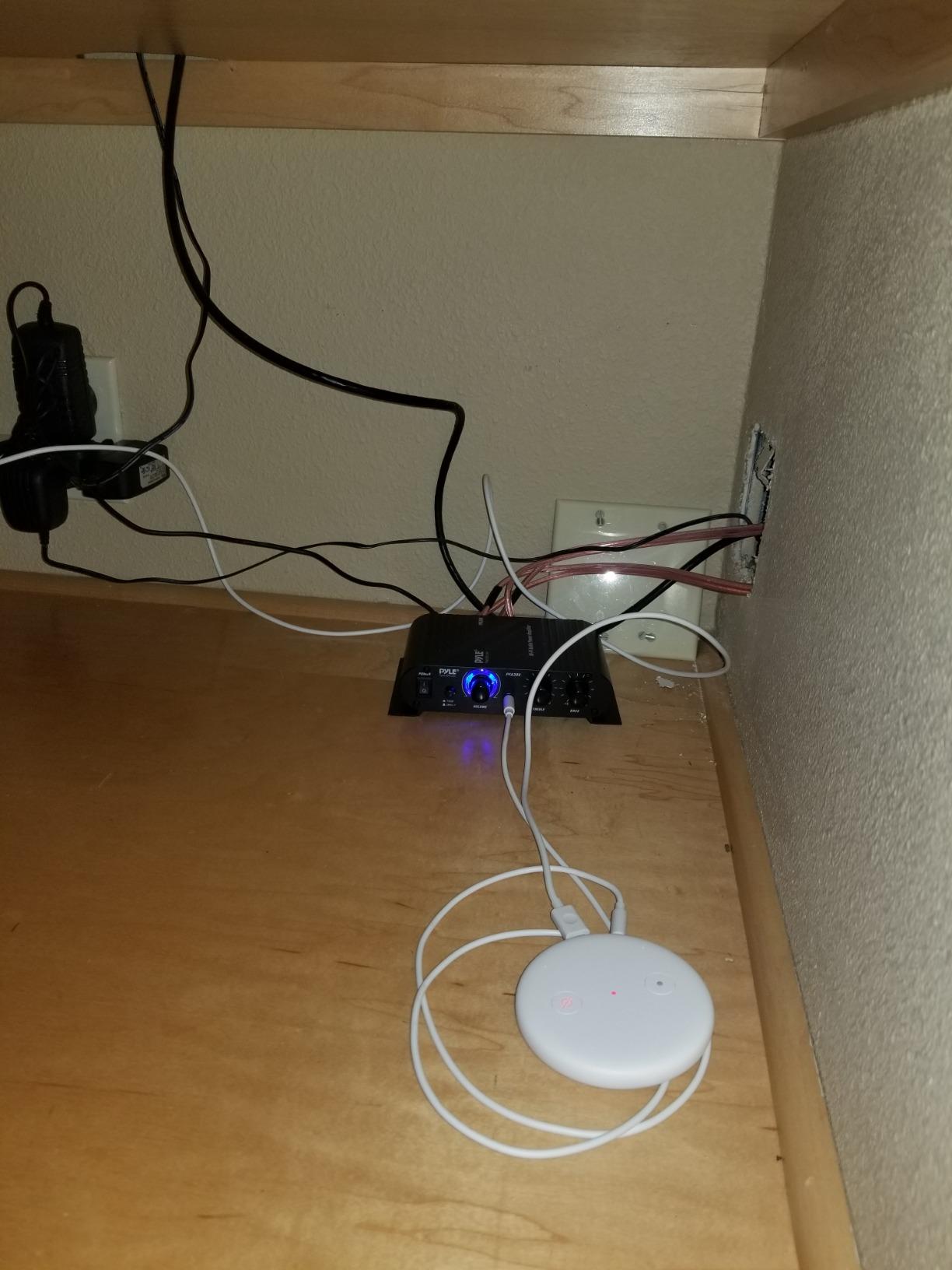 Echo Input works great for casting my music