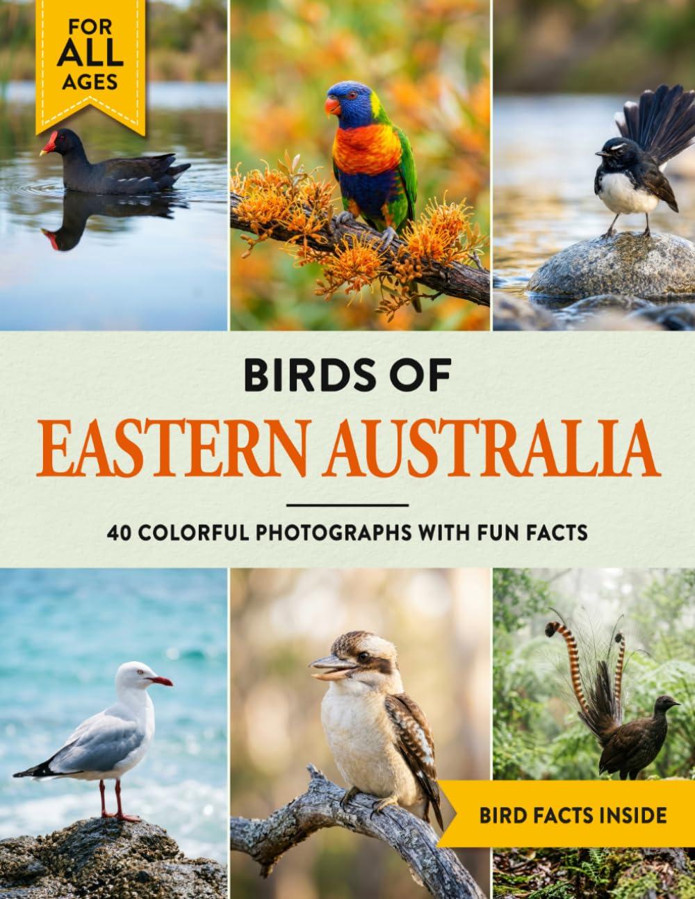 Birds of Eastern Australia: A Birdwatching Picture Book with Fun Facts and Photography for Kids, Adults & Birders